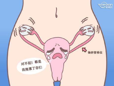 產(chǎn)后康復(fù)治療儀.jpg 產(chǎn)后康復(fù)治療儀.jpg